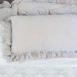 Pair of Corinthian Velvet Pillow Cases